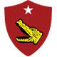 Naval Amphibious Force, TF 51-5th Marine Expeditionary Brigade